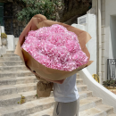 Pink Hydrangeas