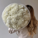 White Hydrangeas