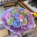 15 Mixed Hydrangeas