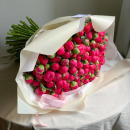 Coral Sunset peony