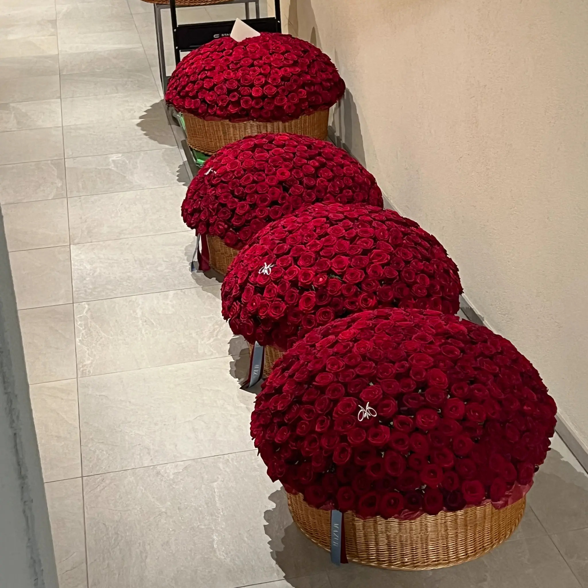 2500 красных роз