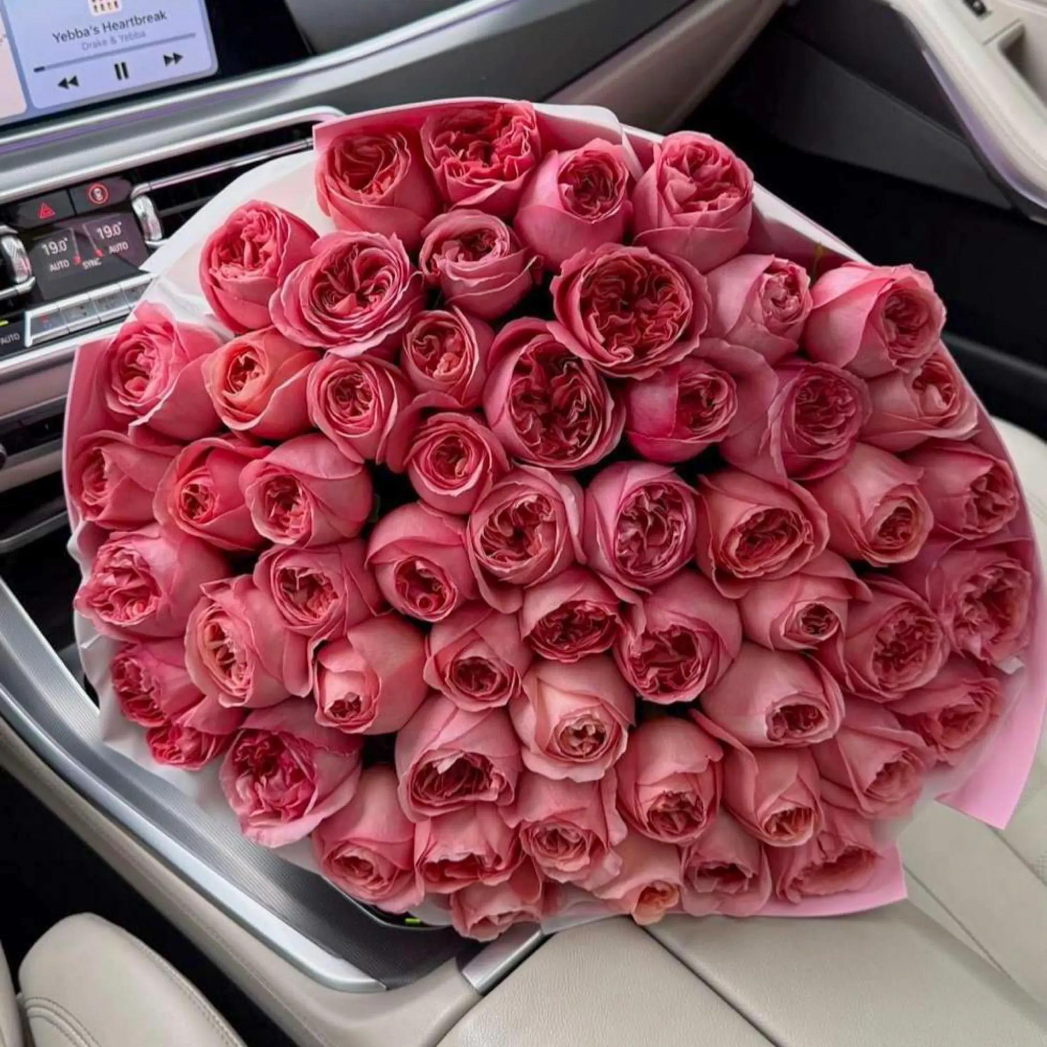 Size: 50
Size: 75
Size: 100